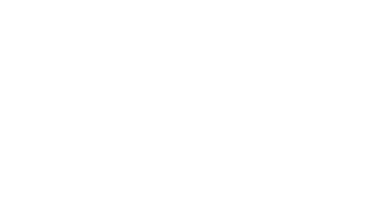 Cirque